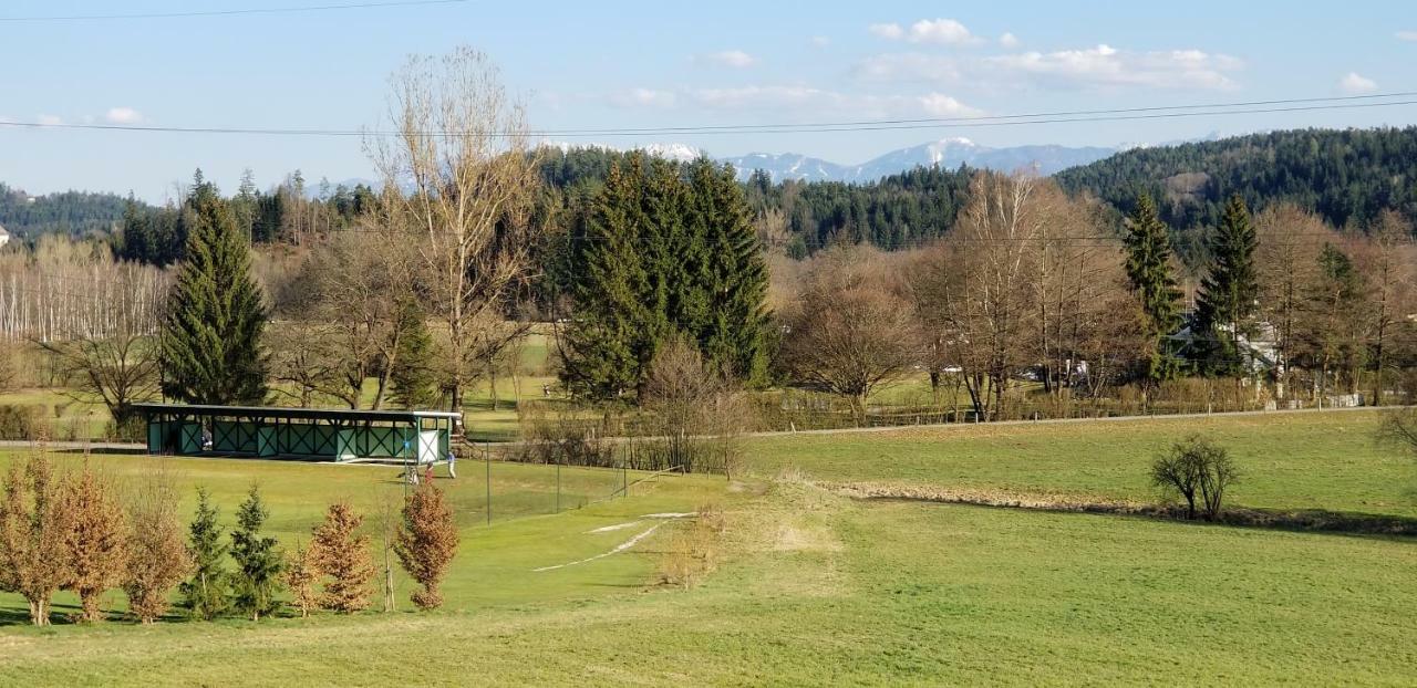 Haus Falkenstein Apartment